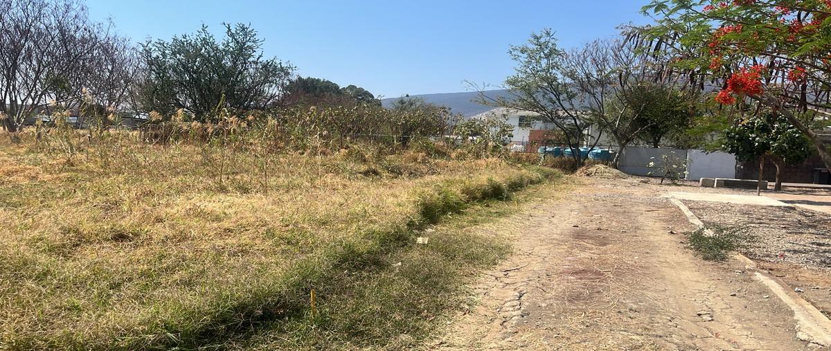 Foto de terreno habitacional en privada de camino nacional , santa maria del tule, santa maría del tule, oaxaca, 29695070 foto 05 Foto de terreno habitacional en venta en privada de camino nacional , santa maria del tule, santa maría del tule, oaxaca, 29695070 No. 05