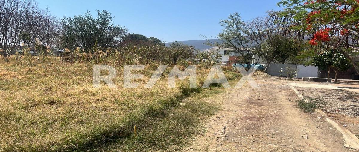 Foto de terreno habitacional en venta en privada de camino nacional , santa maria del tule, santa maría del tule, oaxaca, 0 No. 05