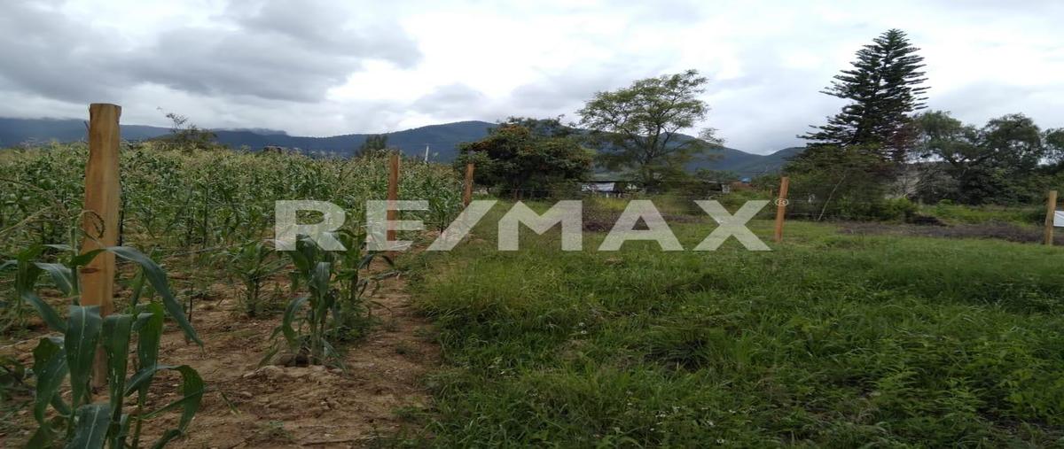 Foto de terreno habitacional en venta en privada de colón , la azucena, san pablo etla, oaxaca, 25499682 No. 03