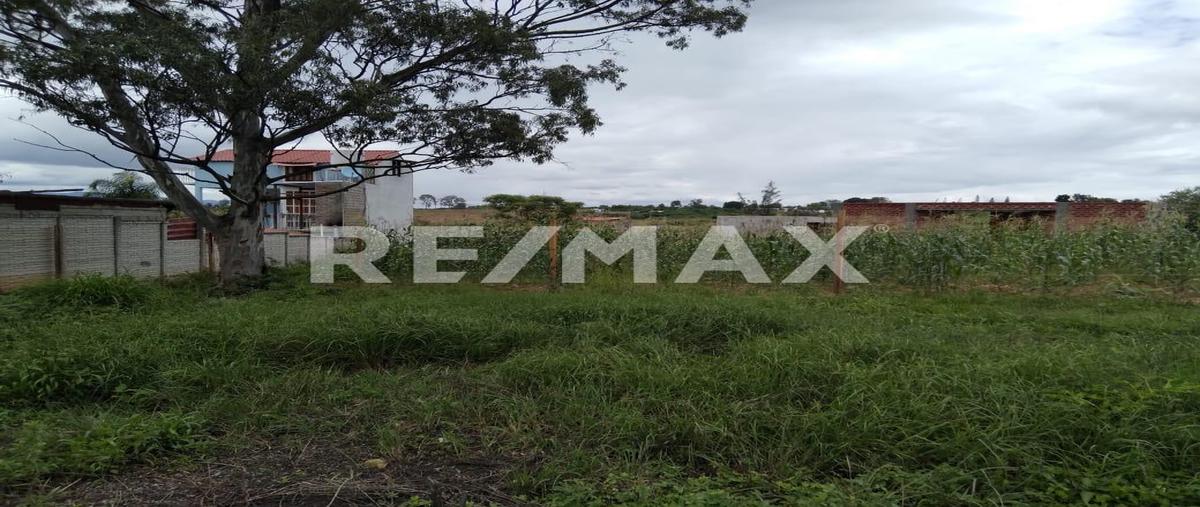 Foto de terreno habitacional en venta en privada de colón , la azucena, san pablo etla, oaxaca, 25499682 No. 04