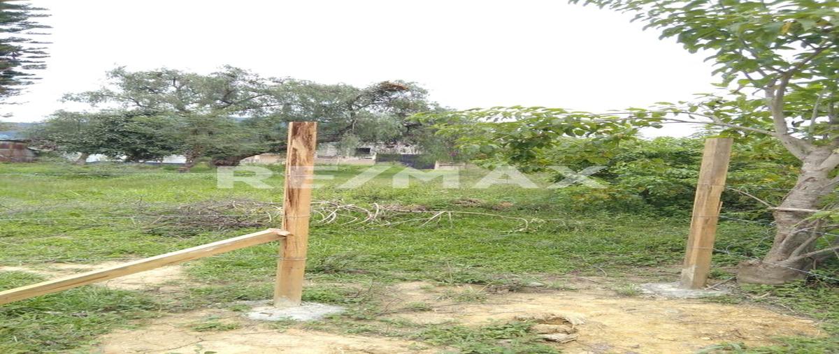 Foto de terreno habitacional en venta en privada de colón , la azucena, san pablo etla, oaxaca, 25499682 No. 05