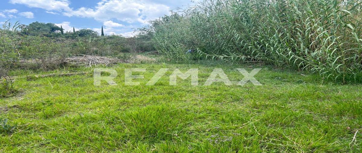Foto de terreno habitacional en venta en privada de independencia , san agustin etla, san agustín etla, oaxaca, 0 No. 03