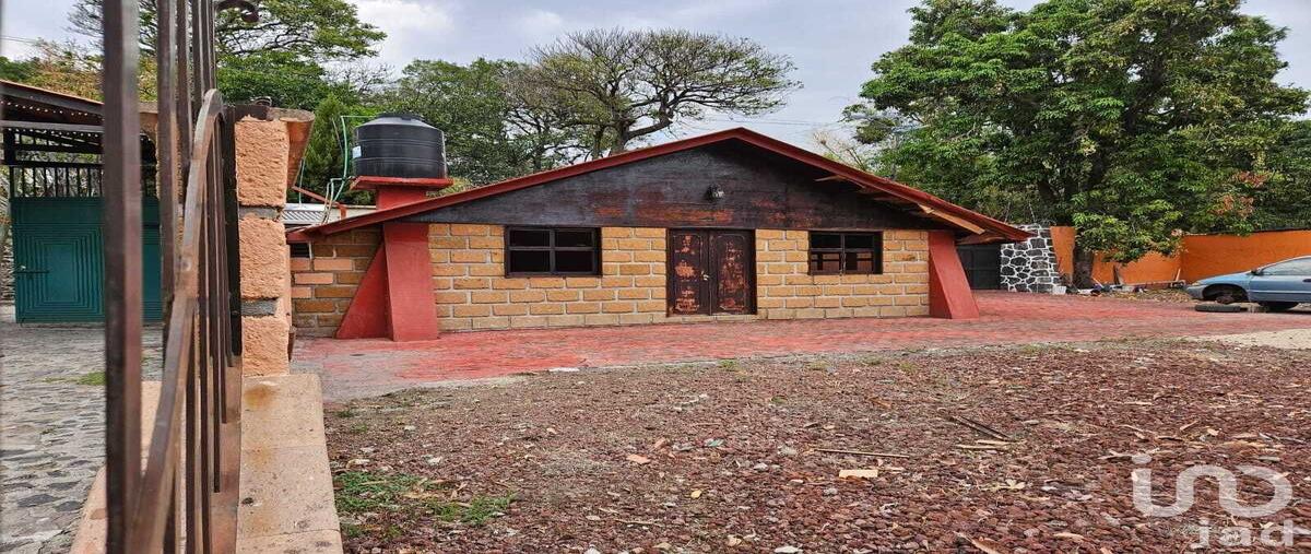 Foto de terreno habitacional en venta en privada de la cruz 128, oaxtepec centro, yautepec, morelos, 29021958 No. 05