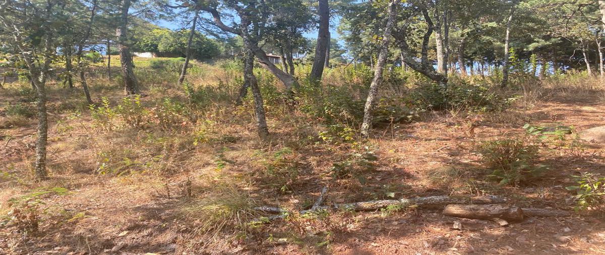 Foto de terreno habitacional en venta en privada de la ecología 05, mazamitla, mazamitla, jalisco, 0 No. 03