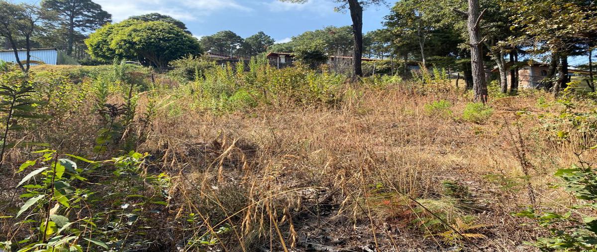 Foto de terreno habitacional en venta en privada de la ecología 05, mazamitla, mazamitla, jalisco, 0 No. 05