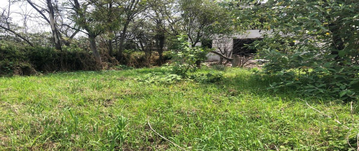 Foto de terreno industrial en venta en privada de la rosaleda , lomas altas, miguel hidalgo, df / cdmx, 30492400 No. 04