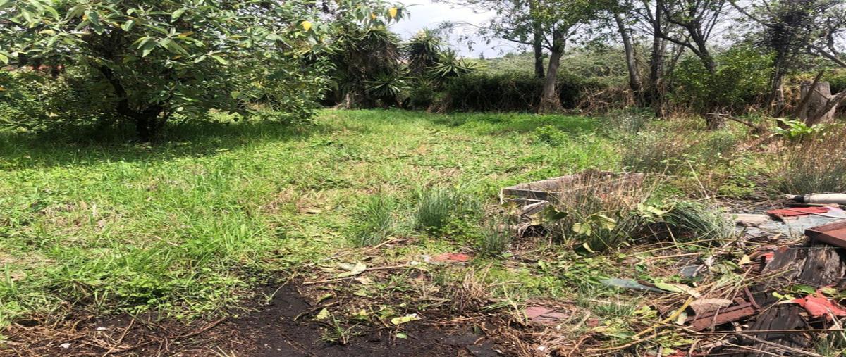 Foto de terreno industrial en venta en privada de la rosaleda , lomas altas, miguel hidalgo, df / cdmx, 30492400 No. 05