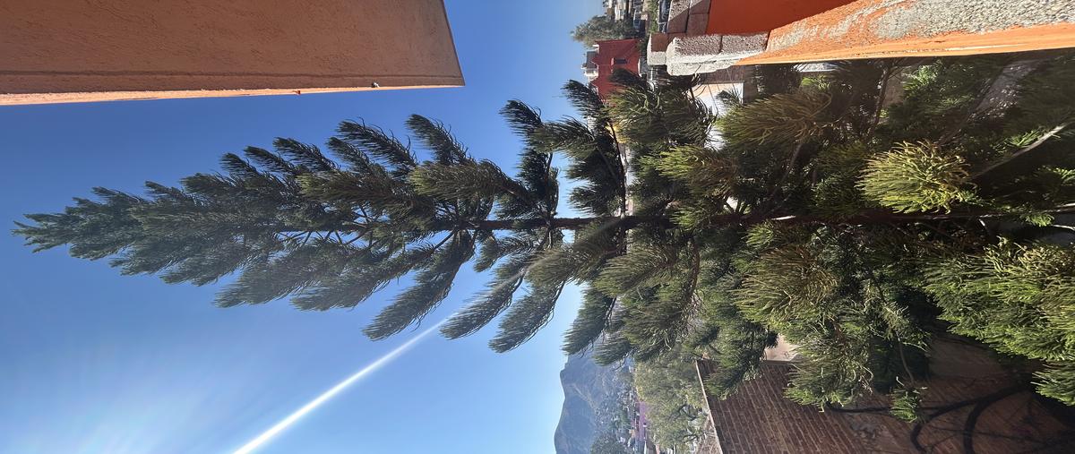 Foto de casa en venta en privada de las rosas , cerro del cuarto, guanajuato, guanajuato, 30879424 No. 03