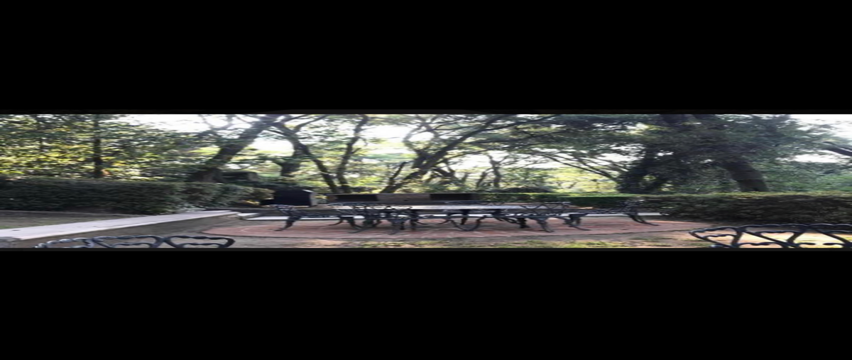 Foto de departamento en renta en privada de los cedros , alcantarilla, álvaro obregón, df / cdmx, 30851063 No. 04