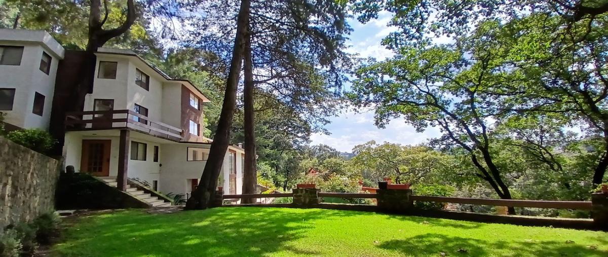 Foto de casa en venta en privada de los cedros , alcantarilla, álvaro obregón, df / cdmx, 31681898 No. 04