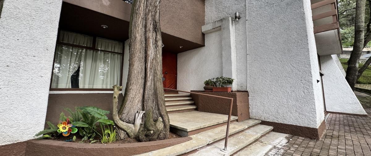 Foto de casa en venta en privada de los cedros , alcantarilla, álvaro obregón, df / cdmx, 31681898 No. 05