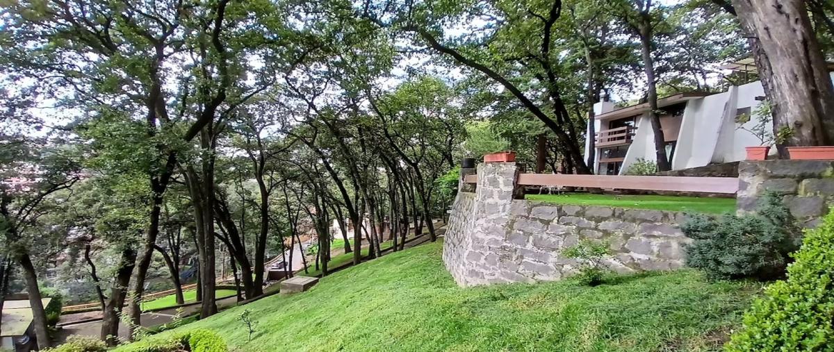 Foto de casa en venta en privada de los cedros , alcantarilla, álvaro obregón, df / cdmx, 0 No. 16