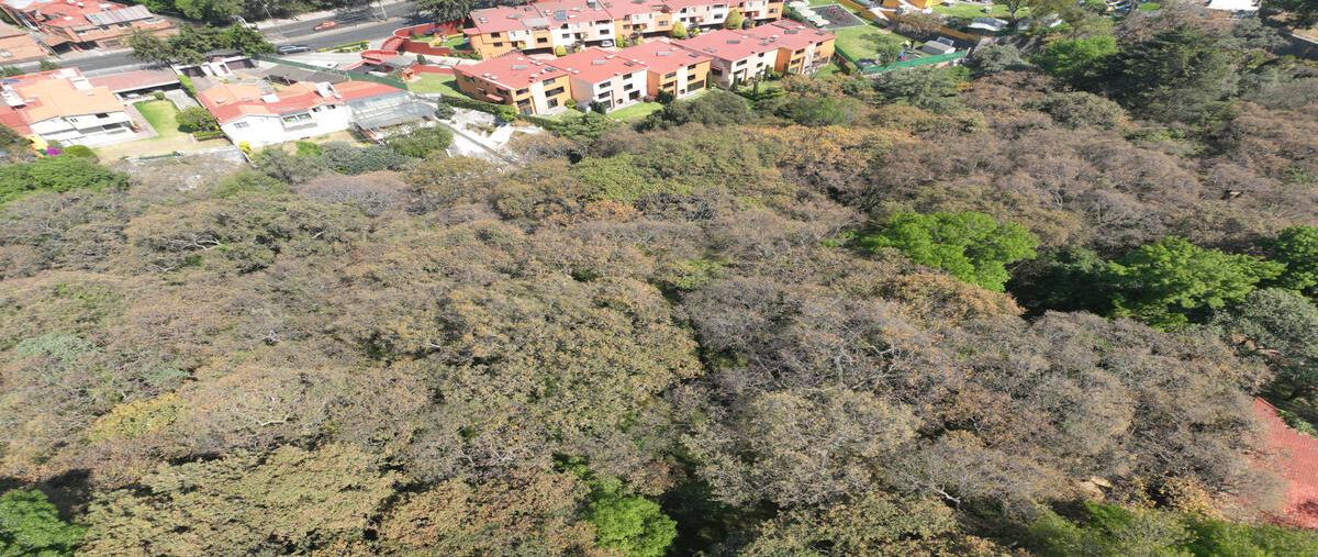 Foto de terreno habitacional en venta en privada de los cedros , los cedros, álvaro obregón, df / cdmx, 0 No. 03
