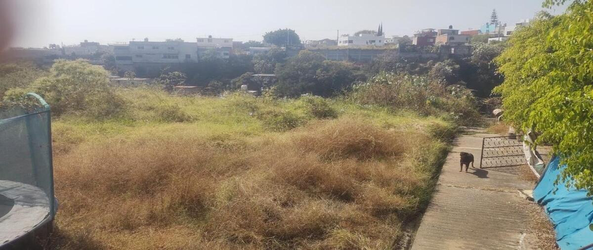 Foto de terreno habitacional en venta en privada de los reyes , tetela del monte, cuernavaca, morelos, 0 No. 05