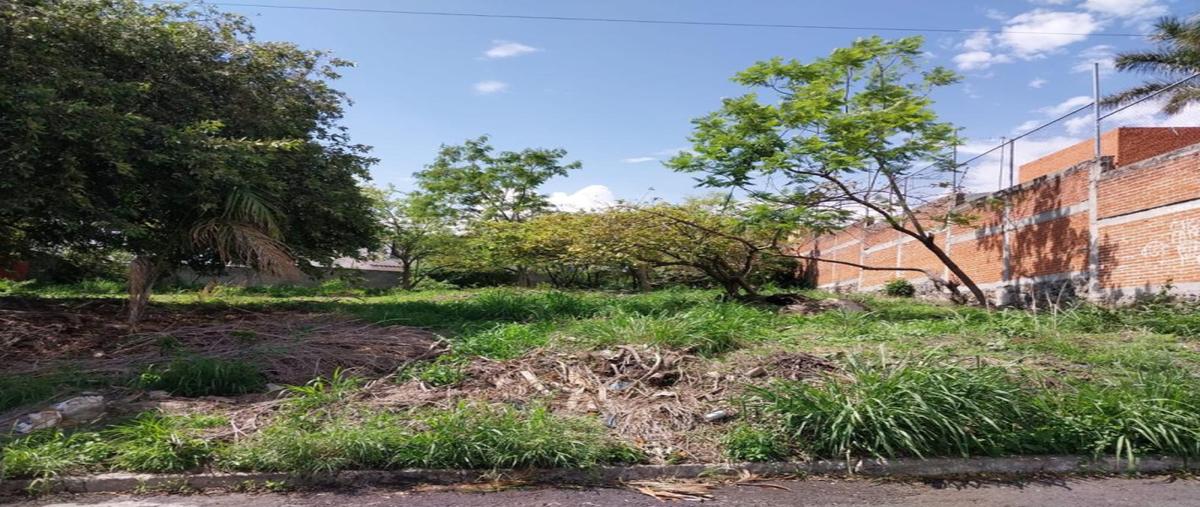 Foto de terreno industrial en privada de orquideas , lomas de cuernavaca, temixco, morelos, 29223273 foto 03 Foto de terreno industrial en venta en privada de orquideas , lomas de cuernavaca, temixco, morelos, 29223273 No. 03