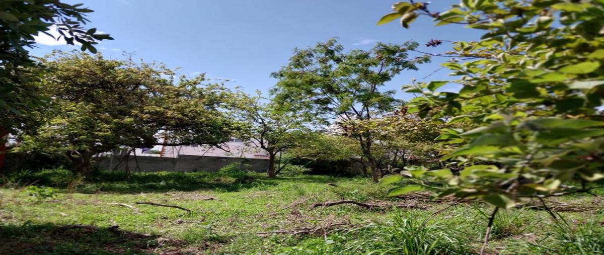 Foto de terreno industrial en privada de orquideas , lomas de cuernavaca, temixco, morelos, 29223273 foto 04 Foto de terreno industrial en venta en privada de orquideas , lomas de cuernavaca, temixco, morelos, 29223273 No. 04