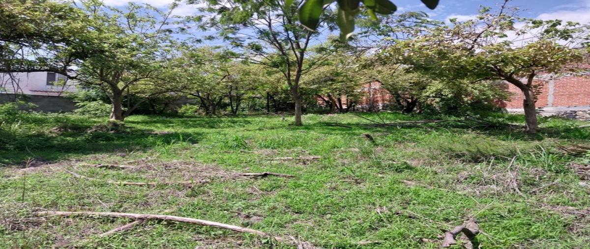 Foto de terreno industrial en privada de orquideas , lomas de cuernavaca, temixco, morelos, 29223273 foto 05 Foto de terreno industrial en venta en privada de orquideas , lomas de cuernavaca, temixco, morelos, 29223273 No. 05