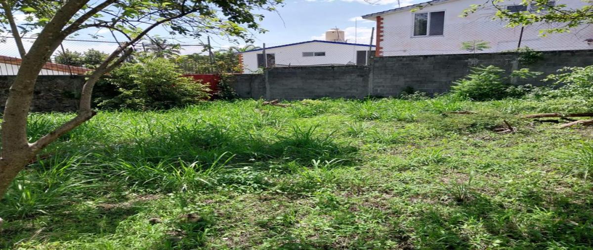 Foto de terreno industrial en privada de orquideas , lomas de cuernavaca, temixco, morelos, 29223273 foto 06 Foto de terreno industrial en venta en privada de orquideas , lomas de cuernavaca, temixco, morelos, 29223273 No. 06