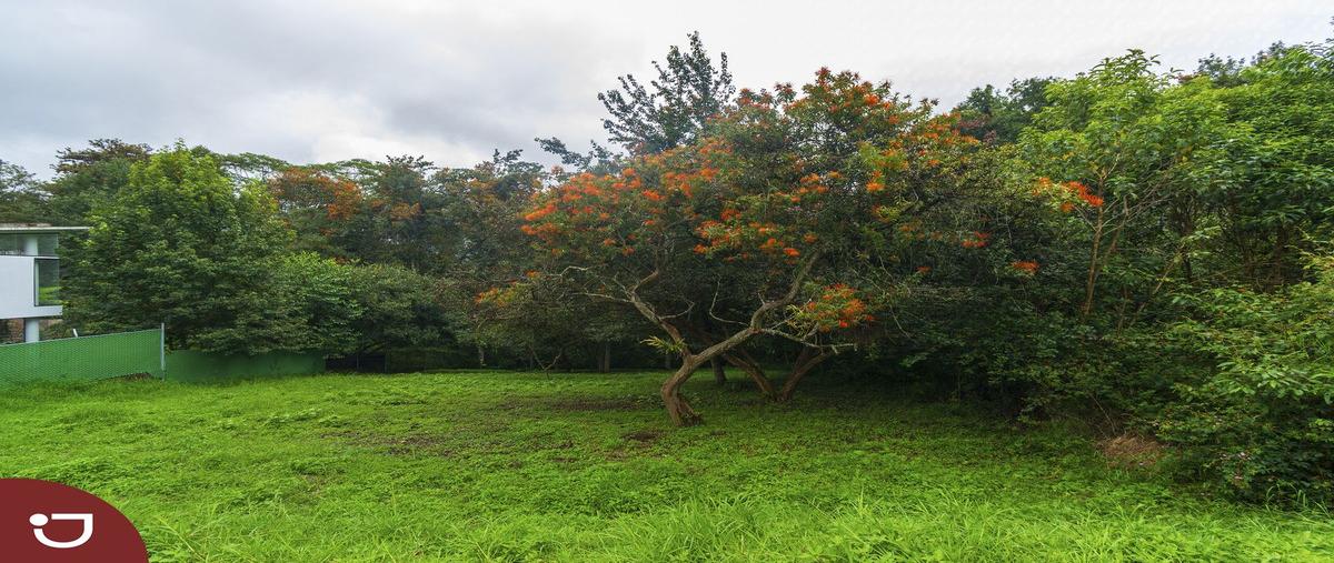 Foto de terreno habitacional en venta en privada del divisadero , tlalnelhuayocan, tlalnelhuayocan, veracruz de ignacio de la llave, 0 No. 05