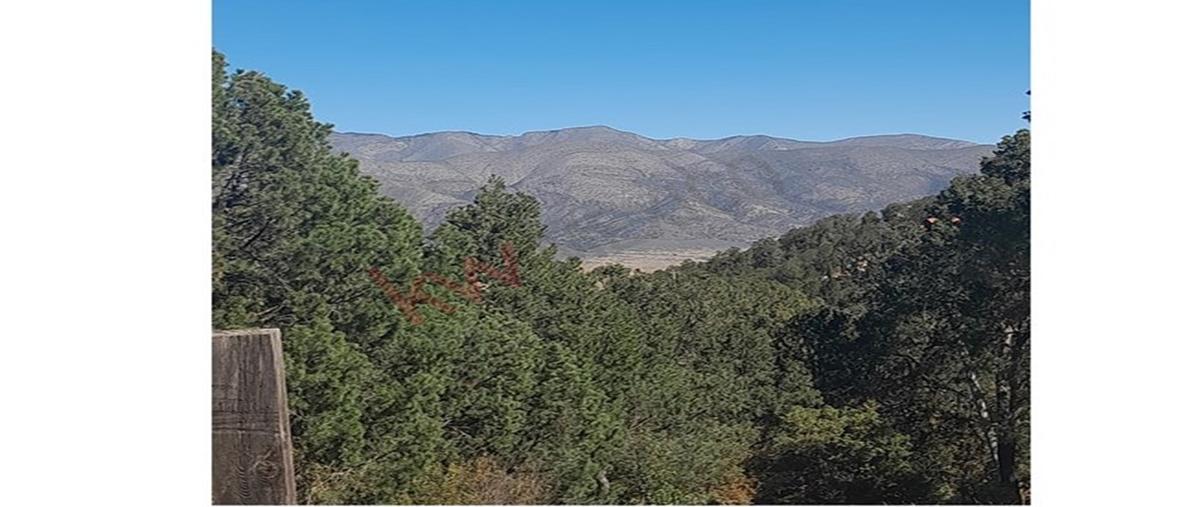 Foto de terreno habitacional en privada del lobo , san ignacio de abajo, arteaga, coahuila de zaragoza, 0 foto 05 Foto de terreno habitacional en venta en privada del lobo , san ignacio de abajo, arteaga, coahuila de zaragoza, 0 No. 05