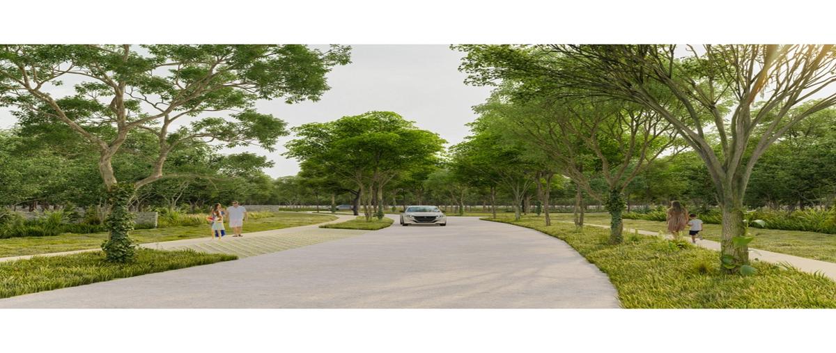 Foto de terreno habitacional en venta en  , privada del maestro, mérida, yucatán, 0 No. 04