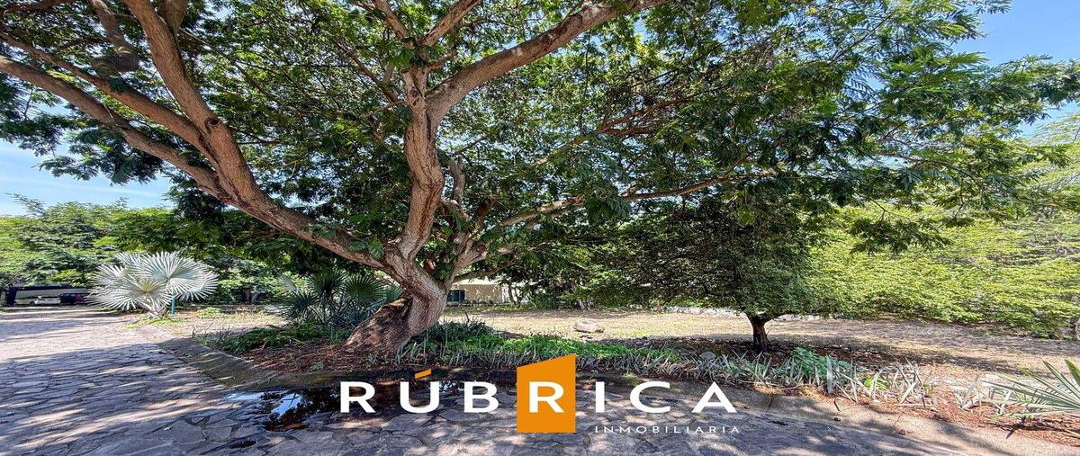 Foto de terreno habitacional en venta en privada del manzano , las parotas, villa de álvarez, colima, 30089926 No. 05