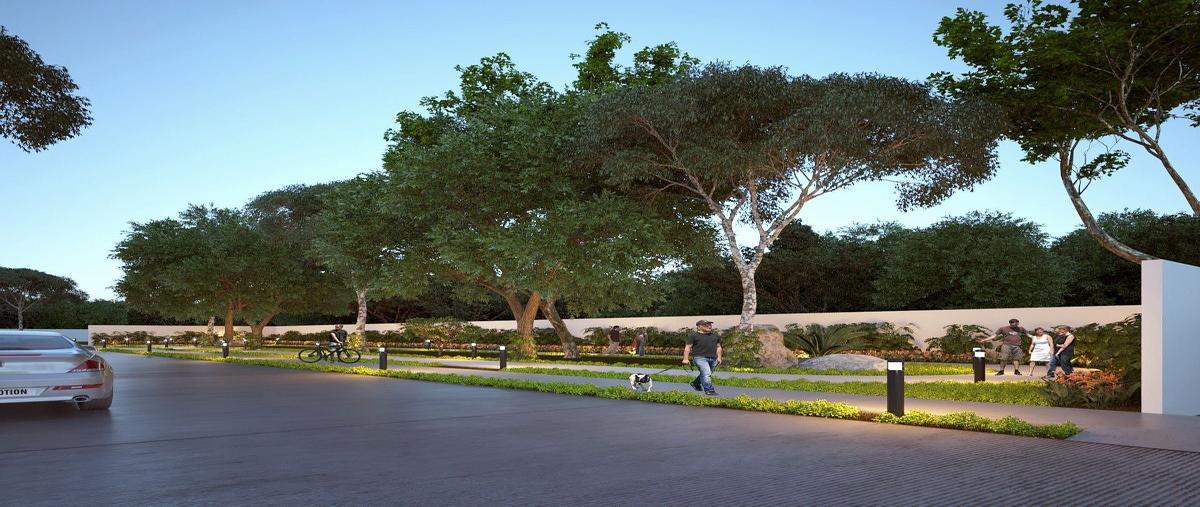 Foto de terreno habitacional en venta en privada , dzitya, mérida, yucatán, 0 No. 05