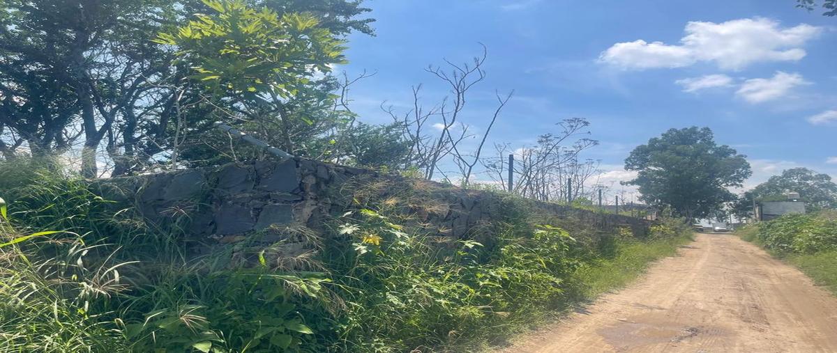 Foto de terreno habitacional en venta en privada el cerrito , plan del sur, san pedro tlaquepaque, jalisco, 0 No. 03