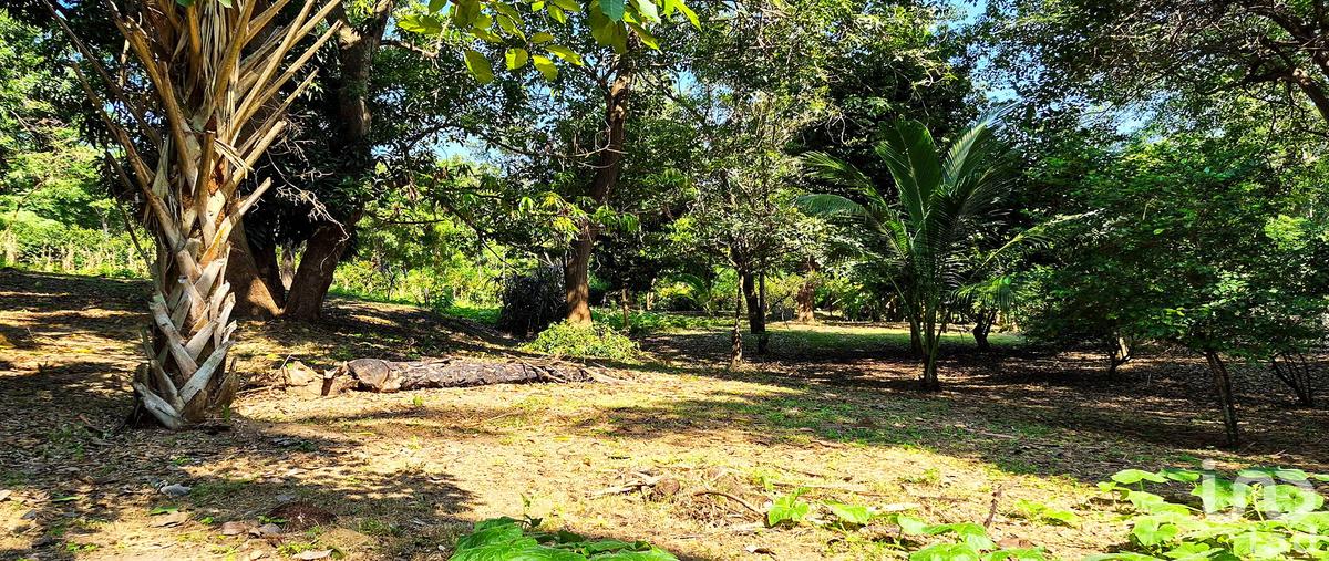 Foto de terreno habitacional en privada fortaleza, , rancho de la esperanza, san pedro mixtepec -dto. 22 -, oaxaca, 0 foto 01 Foto de terreno habitacional en venta en privada fortaleza, , rancho de la esperanza, san pedro mixtepec -dto. 22 -, oaxaca, 0 No. 01
