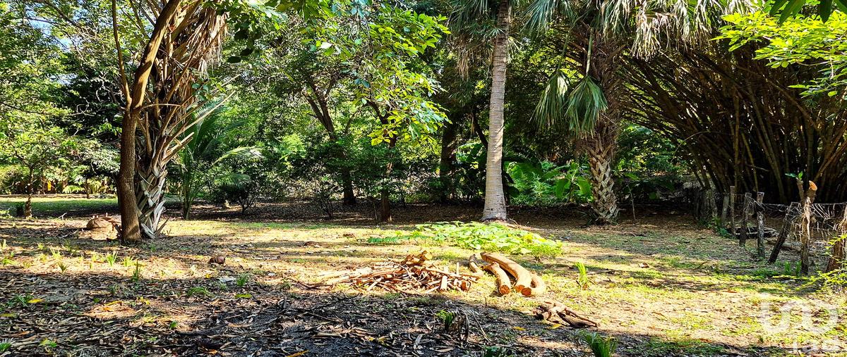 Foto de terreno habitacional en privada fortaleza, , rancho de la esperanza, san pedro mixtepec -dto. 22 -, oaxaca, 0 foto 02 Foto de terreno habitacional en venta en privada fortaleza, , rancho de la esperanza, san pedro mixtepec -dto. 22 -, oaxaca, 0 No. 02