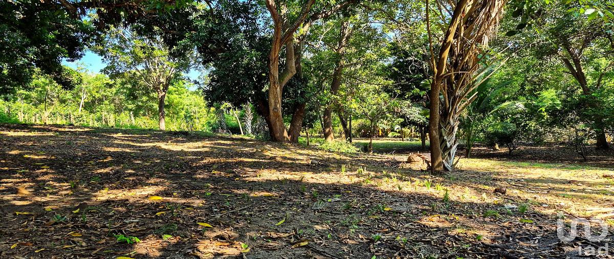Foto de terreno habitacional en privada fortaleza, , rancho de la esperanza, san pedro mixtepec -dto. 22 -, oaxaca, 0 foto 03 Foto de terreno habitacional en venta en privada fortaleza, , rancho de la esperanza, san pedro mixtepec -dto. 22 -, oaxaca, 0 No. 03