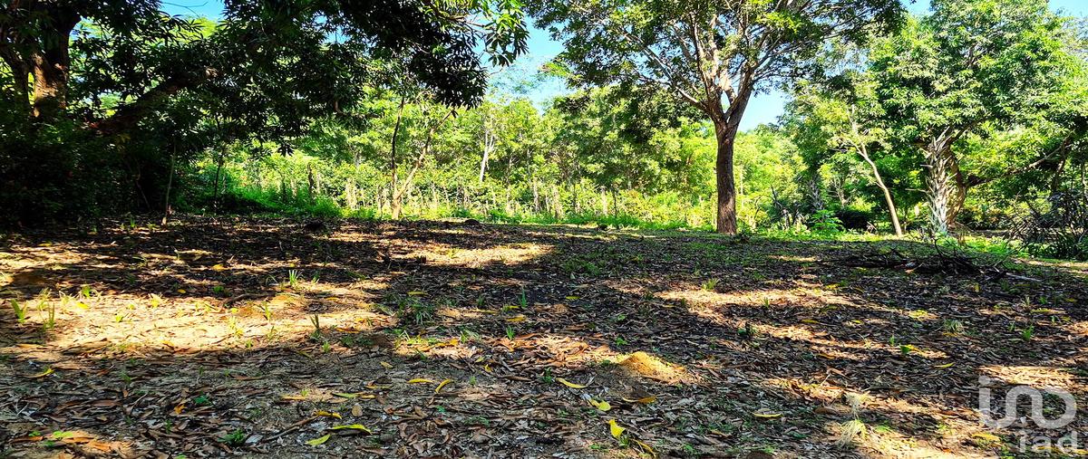 Foto de terreno habitacional en privada fotaleza , rancho de la esperanza, san pedro mixtepec -dto. 22 -, oaxaca, 0 foto 02 Foto de terreno habitacional en venta en privada fotaleza , rancho de la esperanza, san pedro mixtepec -dto. 22 -, oaxaca, 0 No. 02
