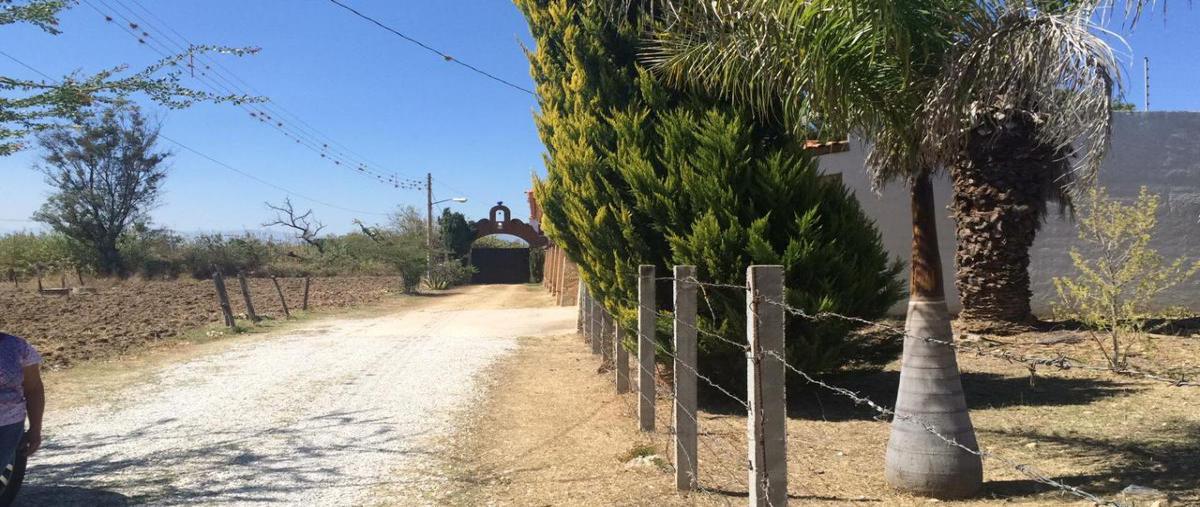 Foto de terreno habitacional en venta en privada gulabani , tlalixtac de cabrera, tlalixtac de cabrera, oaxaca, 19236889 No. 04