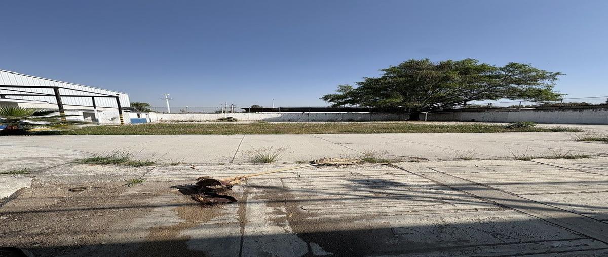 Foto de terreno habitacional en privada ixtepete , miramar, zapopan, jalisco, 0 foto 05 Foto de terreno habitacional en renta en privada ixtepete , miramar, zapopan, jalisco, 0 No. 05