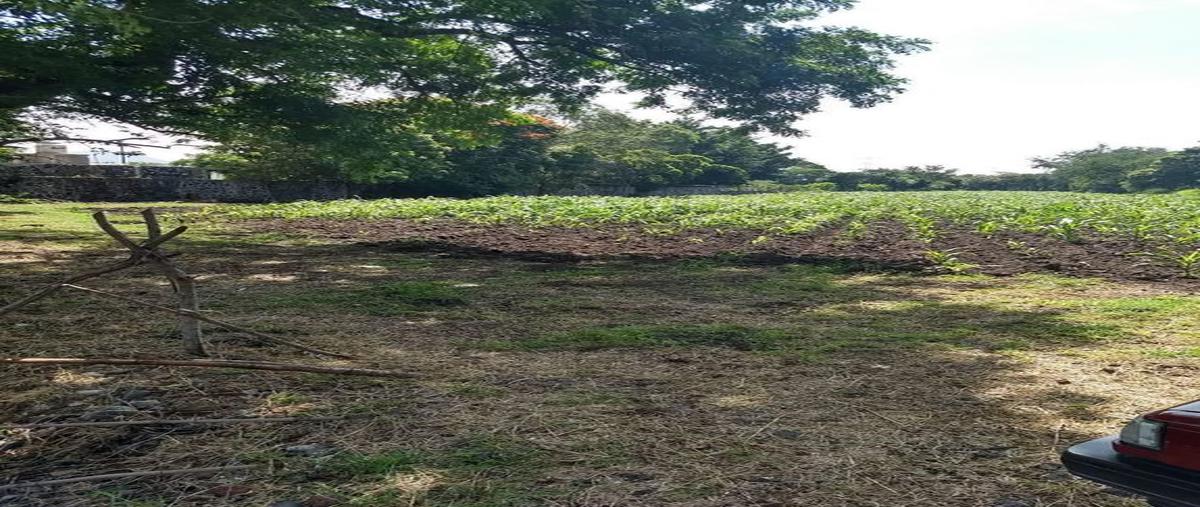 Foto de terreno habitacional en venta en privada , jacarandas, yautepec, morelos, 25442402 No. 05