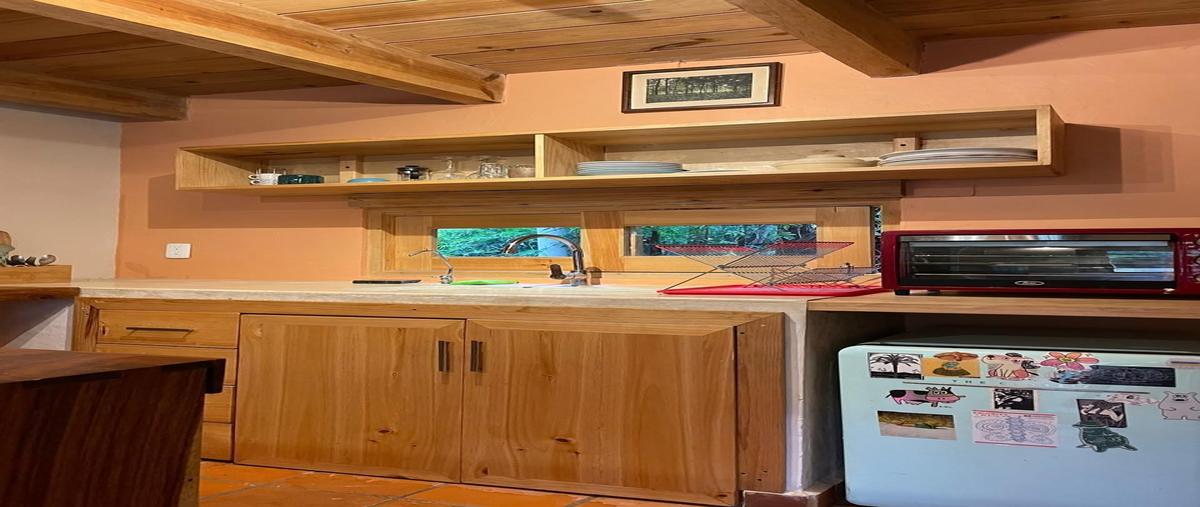 Foto de departamento en renta en privada la canasta , san nicolás, san cristóbal de las casas, chiapas, 30109039 No. 04