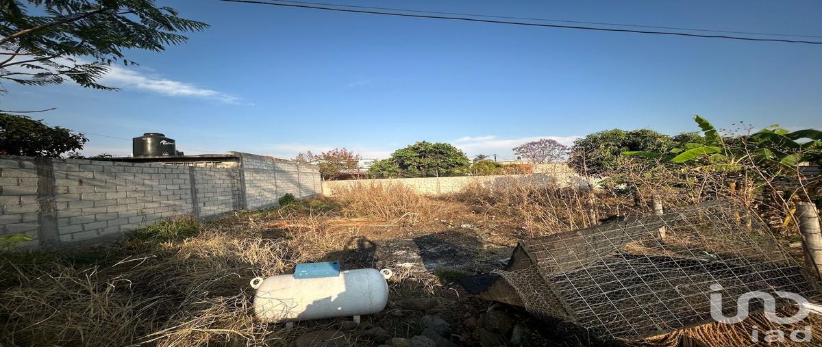 Foto de terreno habitacional en venta en privada la palma , ahuatepec, cuernavaca, morelos, 0 No. 05