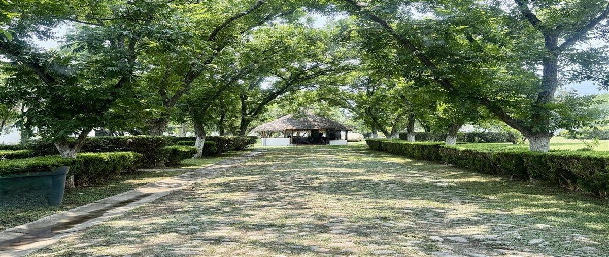 Foto de bodega en venta en privada las palmas , los rodriguez, santiago, nuevo león, 29856648 No. 03