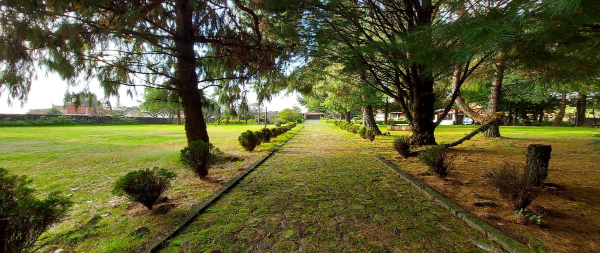 Foto de rancho en privada lazaro cardenas , tres marías, huitzilac, morelos, 31514486 foto 03 Foto de rancho en venta en privada lazaro cardenas , tres marías, huitzilac, morelos, 31514486 No. 03