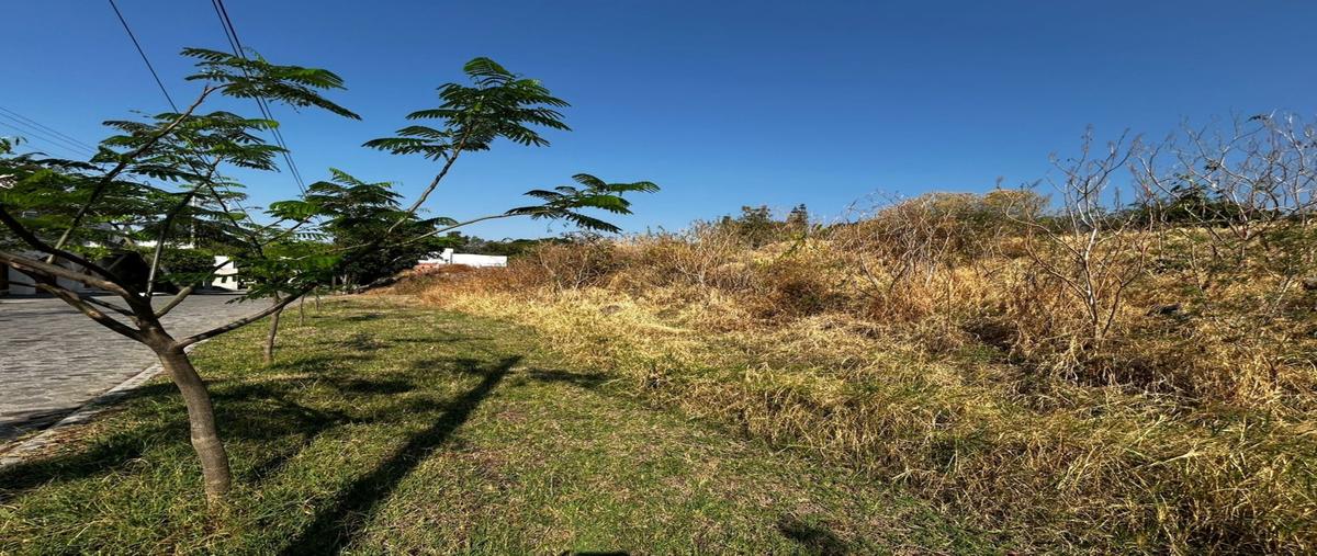 Foto de terreno habitacional en venta en privada leñeros , vista hermosa, cuernavaca, morelos, 31146608 No. 05