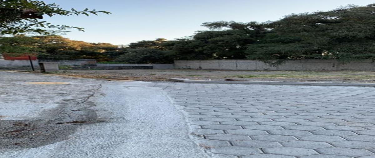 Foto de terreno habitacional en venta en privada , lomas de cuernavaca, temixco, morelos, 26637919 No. 04
