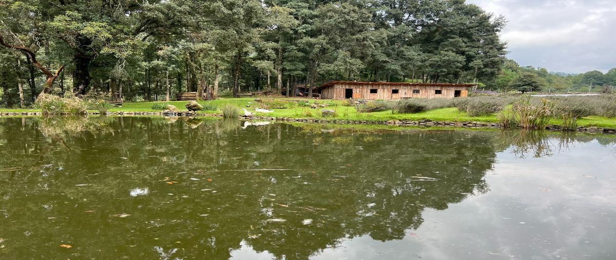 Foto de rancho en venta en privada los gavilanes , valle de bravo, valle de bravo, méxico, 27321986 No. 03