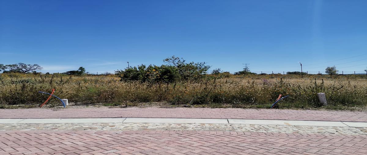 Foto de terreno habitacional en venta en privada maderas condominio kauri , charco blanco, corregidora, querétaro, 28808123 No. 05