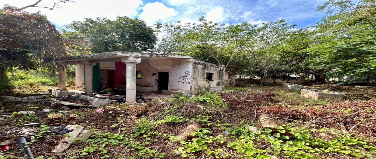 Foto de terreno habitacional en , privada maya, mérida, yucatán, 27365240 foto 05 Foto de terreno habitacional en venta en , privada maya, mérida, yucatán, 27365240 No. 05