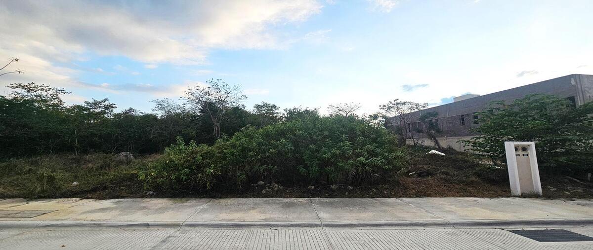 Foto de terreno habitacional en venta en privada provincia , tamanché, mérida, yucatán, 30294712 No. 04