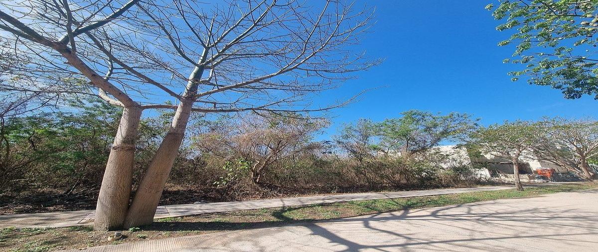 Foto de terreno habitacional en venta en privada ravenna , cabo norte, mérida, yucatán, 0 No. 05