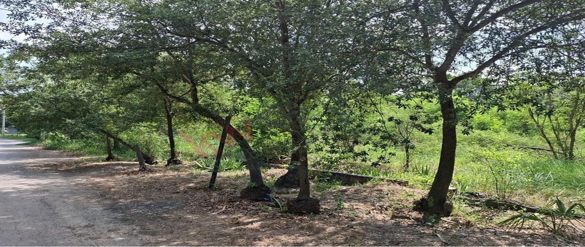 Foto de terreno habitacional en privada roble l3 m2 los encinos l3, chihuahua, cadereyta jiménez, nuevo león, 0 foto 03 Foto de terreno habitacional en venta en privada roble l3 m2 los encinos l3, chihuahua, cadereyta jiménez, nuevo león, 0 No. 03