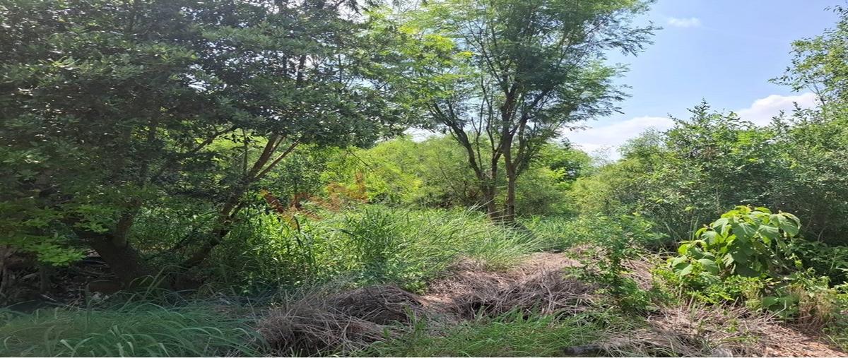 Foto de terreno habitacional en privada roble l3 m2 los encinos l3, chihuahua, cadereyta jiménez, nuevo león, 0 foto 04 Foto de terreno habitacional en venta en privada roble l3 m2 los encinos l3, chihuahua, cadereyta jiménez, nuevo león, 0 No. 04