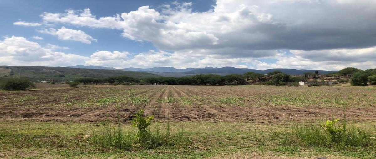 Foto de rancho en venta en privada san isidro 100, la panadera, calvillo, aguascalientes, 18636167 No. 04