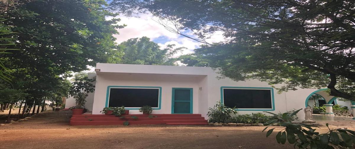 Foto de casa en privada san jose cholul calle agua , cholul, mérida, yucatán, 20446839 foto 05 Foto de casa en venta en privada san jose cholul calle agua , cholul, mérida, yucatán, 20446839 No. 05